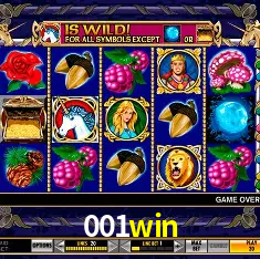 001win Rio de Janeiro - Bonus Terms